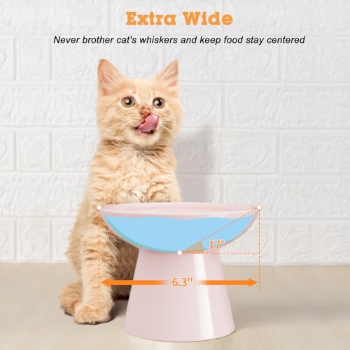 LoeJan Ceramic Cat Bowls, Elevated Cat Food and Water Bowls Set, Extra Wide and Raised Ceramic Bowls, Anti-Vomit Whisker-Free Pressure Cat Feeder for Kittens to Adult Cats - Image 5