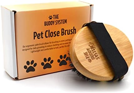 The Buddy System - Pet Close Brush, Oval Palm Brush with Boar Bristles by TheBuddySystem