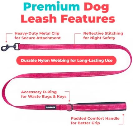 Best Pet Supplies Voyager Nylon Dog Leash - Fuchsia, Medium - Image 2