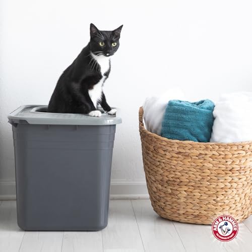 Arm & Hammer Premium Top Entry Litter Box with Filter to Clean Paws and Microban, Made in USA - Image 4