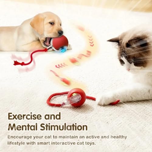 Automatic Cat Ball, RED, LED Lights, Indoors for Active Cats - Rechargeable, Smart Rolling, Speedy Tail/Rope - Image 3