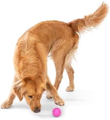 WEST PAW Boundr Ball Dog Fetch Toy – Bouncing Toys for Dogs, Fetch, Catch, Chewing, Play – Floatable, Recyclable Balls – Small Dandelion Yellow/Hot Pink 2-Pack - Image 5