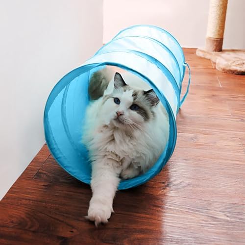iCAGY Cat Tunnel for Indoor Small Cats Kittens Rabbits, Foldable Tube Toys - Image 5