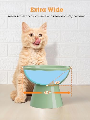 LoeJan Elevated Cat Food and Water Bowls Set, Extra Wide and Raised Ceramic Bowls, Anti-Vomit Whisker-Free Pressure Cat Feeder for Kittens to Adult Cats and Small Dogs - Image 5
