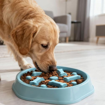 Slow Feeder Dog Bowls Anti Gulping Reduces Gastric Burden Prevents Bloat and Digestive Issues Safe Durable Material Easy to Clean Puppy Slow Feeder Bowl for Healthy Eating Excess Energy Management - Image 6