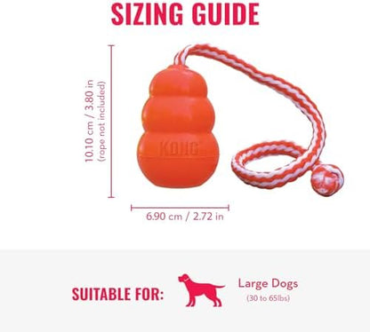 KONG Aqua Floating Fetch Toy, Natural Rubber, Orange, for Large Dogs - Image 4