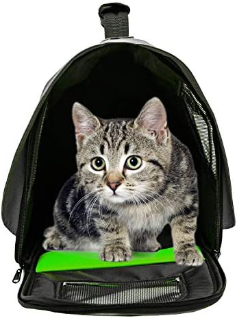 Pawer 18” x 11”x 11” Soft-Sided Foldable Airline Approved Pet Carrier for Cat, Puppy and Small Dog, Washable 600D Oxford Fabric, with Handle and Strap for Carry, Multiple Colors Available - Image 5
