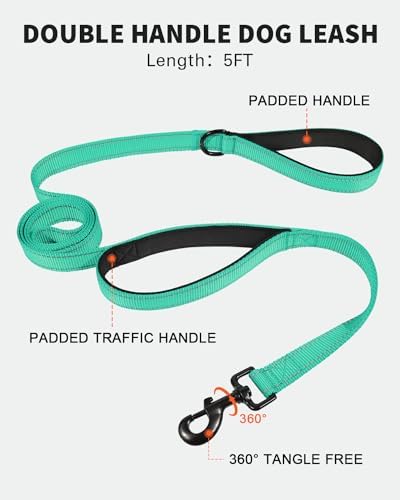 FunTags Martingale Dog Collar and Leash Set for Medium Dogs, Locking Buckle - Image 4