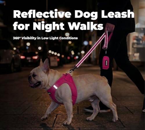 Best Pet Supplies Voyager Nylon Dog Leash - Fuchsia, Small - Image 4