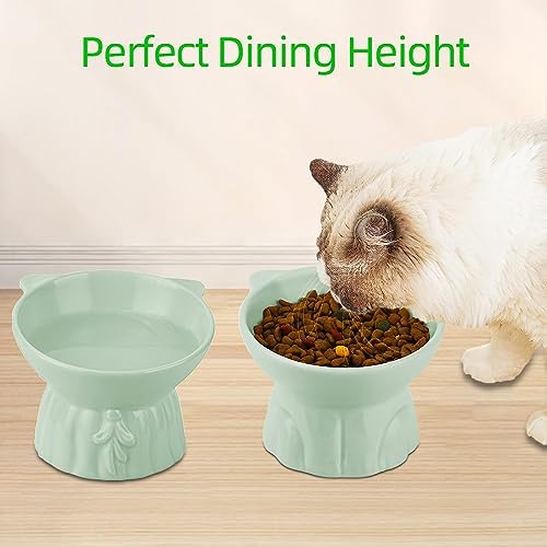 Elevated Cat Bowls 2-Pack, Ceramic Raised Cat Food & Water Dishes - Extra Wide & Shallow Whisker-Friendly Design, Anti-Vomit & Easy Digestion, Lead/Cadmium-Free, Microwave & Dishwasher Safe (Green) - Image 6