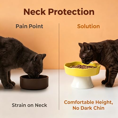 Vexilion Slow Food Pet Bowl, Ceramic, Yellow, Elevated Base Design, Prevent Pet from Too Fast - Image 6