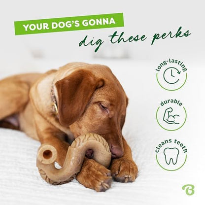 Benebone Tripe Bone Durable Dog Chew Toy for Aggressive Chewers, Giant - Image 3
