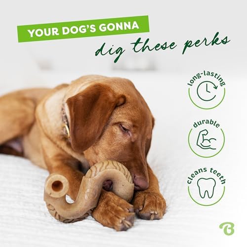Benebone Tripe Bone Durable Dog Chew Toy for Aggressive Chewers, Medium - Image 3
