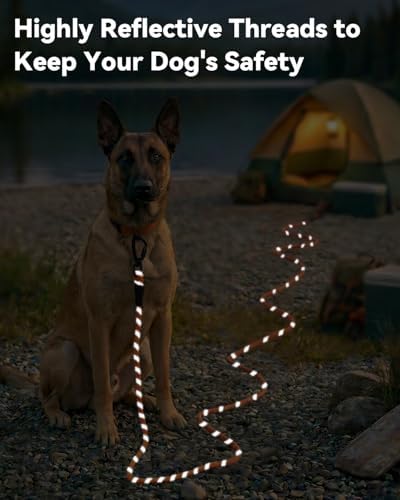 Joytale Long Dog Leash for Yard Tie Out & Recall Training, Orange, 50FT - Image 4