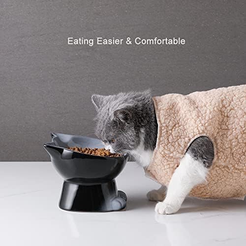 Nihow Elevated Cat Bowls,6 Inch Ceramic Raised Cat Food Bowl for Feeding - Image 6