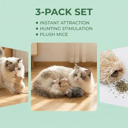 Ciieeo 3pcs Refillable Catnip Cat Toys for Indoor Cats & Kittens Plush Interactive Teething Chew Toy Mouse Shaped Catnip Pillow Assorted Colors - Image 4