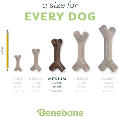 Benebone Maplestick Real Wood Durable Dog Chew Toy, Medium - Image 4