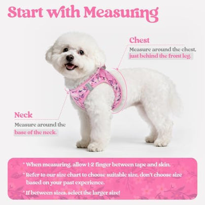 rabbitgoo Dog Harness Medium Sized and Leash Set, Step-in Puppy Pet Vest - Image 2