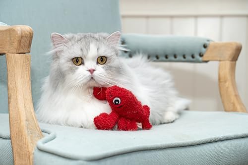 Interactive Catnip Cat Plush Toy, Ocean Theme, 5'', for All Breed Size Cats (Lobster) - Image 4