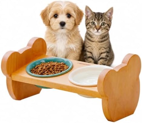Elevated Double Ceramic Cat Bowls with Solid Beech Wood Stand, 10° Tilted by LuLuwood