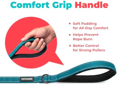 Best Pet Supplies Voyager Nylon Dog Leash - Turquoise, Small - Image 5