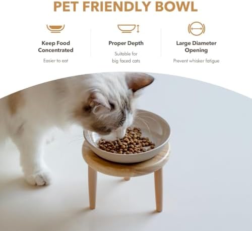 Havniva Elevated Cat Bowls, Cat Food and Water Bowl Set, Ceramic Cat Bowl - Image 5
