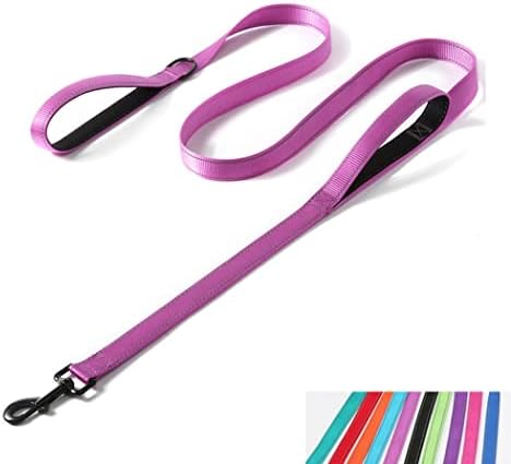 6FT Dog Leash Double Handle, Reflective Dog Lead Traffic Handle, Purple by YOUALSO
