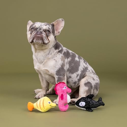 Fringe Studio Plush Dog Toy, 3 Pieces Set, HIGH FIN Buds, Pet Shop Collection (662174) - Image 3