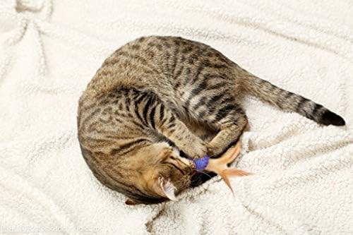 10Pcs Cat Colorful Rainbow Toys Flutter Balls with Feather and Bells for Indoor Ourdoor Kitty Kitten Interactive Playing Chewing Training Chasing Hunting and Exercise - Image 6