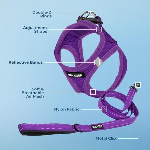 Best Pet Supplies Voyager Step-in Air All Weather Mesh Harness and Reflective Dog 5ft Leash Combo with Neoprene Handle, for Small, Medium and Large Breed Puppies - Purple, Small - Image 3