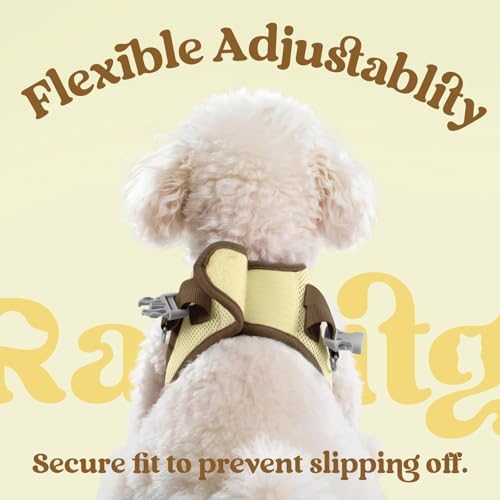 rabbitgoo Dog Harness Small Sized and Leash Set, Step in Soft Vest - Image 6