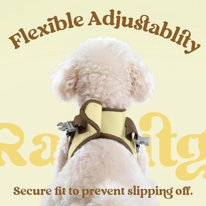 rabbitgoo Dog Harness Small Sized and Leash Set, Step in Soft Vest - Image 6