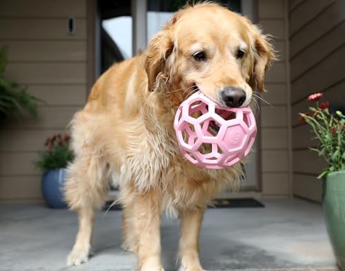 JW Pet HOL-ee Roller Dog Puzzle Ball, Large 5.5in, Natural Rubber, Pink - Image 3
