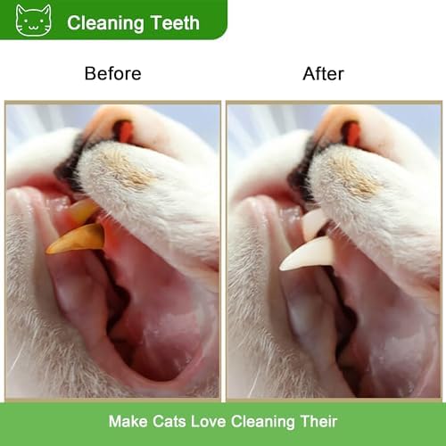 Silvervine Sticks for Cats, Silver Rattan Stick Catnip Stick,Kitten Training Toy,Cats Chew Stick Indoor,Cat Interactive Toy,Tooth Cleaning for cat,Kitty Wooden Tooth Stick Cat Game - Image 4