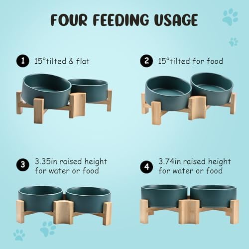 SPUNKYJUNKY 15° Slanted Ceramic Dog and Cat Bowl with Wooden Stand, Tilted Bulldog Food and Water Bowl No Slip Non-Spill for Cats Medium Dogs Big Face Pets 13.5 OZ (1.7 Cups, Green × 2) - Image 3