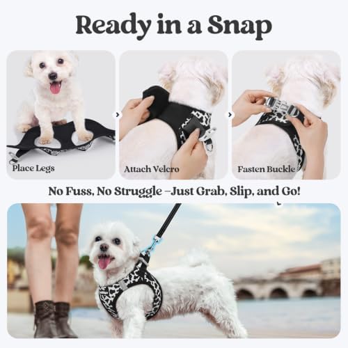 rabbitgoo Dog Harness Small Sized and Leash Set, Step-in Puppy Pet Vest - Image 5