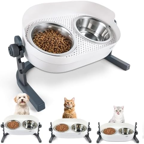 All for Paws Elevated Dog Bowls, Stainless Steel Food & Water Bowls, Height Adjustable Raised Cat Feeder Mess Proof Pet Feeding Bowls for Small to Large Size Dogs by Home