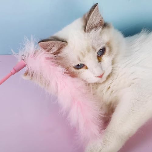 Cat Wand Toys, 3 PCS Interactive Feather Wands Colorful Cat Teaser Wand - Image 5