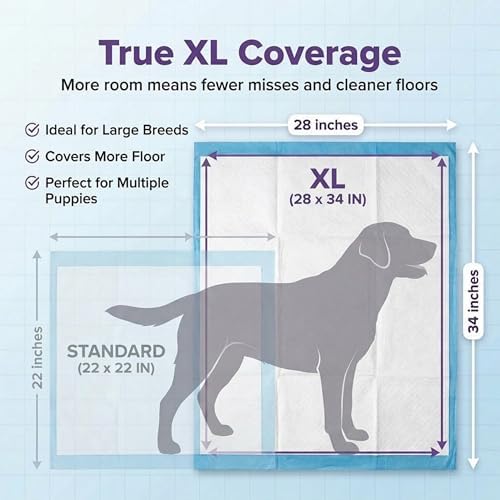 BV Puppy Pads XL 40 Count 34"x28" - Leak-Proof Pee Pads for Dogs with 6-Layer Design, Rapid Dry Sheet & Attractant - Dog Pad Extra Large with Odor Control - Perfect for Big Dogs & Indoor Use - Image 5