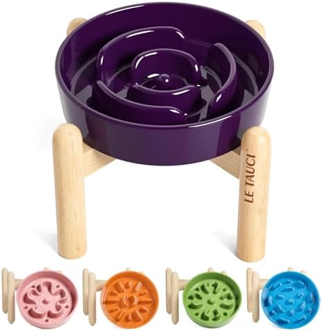 LE TAUCI Ceramic Slow Feed Dog Bowls, Elevated for Small Breeds, Anti-Gulping, Non-Slip, 6 inch, Purple by LETAUCI