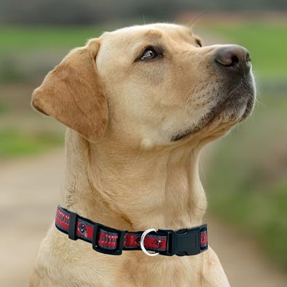 New & Improved Pets First NFL Tampa Bay Buccaneers Licensed PET Collar, X-Large - Heavy-Duty, Strong, and Durable New Dog Collar. Available in 32 Football Teams and 4 Sizes - Image 4