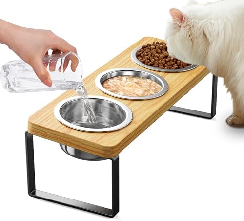 Elevated Cat Bowls with 3 Stainless Steel Bowls | 10° Tilted Anti-Vomiting Raised Cat Food Bowl for Small Cats and Puppies Pet Bowl with Stand by AKAOLA