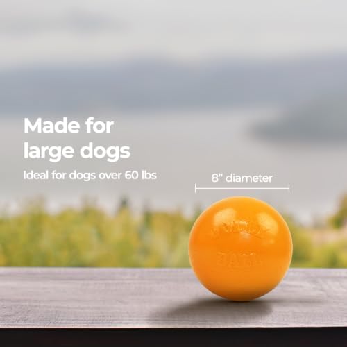 Jolly Pets Bounce-n-Play Dog Toy Ball, 8 Inches/Large, Orange, (Model: 2508 OR) - Image 5