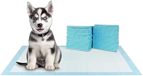 BV XXL Puppy Pads 40 Count 36" x 30" - Leak-Proof Pee Pads for Dogs with 6-Layer Design, Rapid Dry Sheet & Attractant - Dog Pad Extra Large with Odor Control - Perfect for Big Dogs & Indoor Use - Image 7