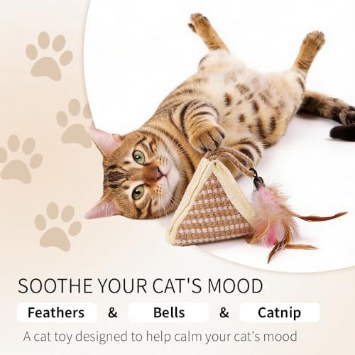 PAZ'S GIFT Cat Toy with Organic Catnip,Feathered Soft Sisal Material, Interactive Scratching and Kicking Chew Toy for Indoor Kittens - Image 4