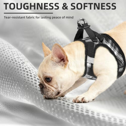 PUPTECK Dog Harness, Collar and Leash Set No Pull for Small Medium Sized - Image 6