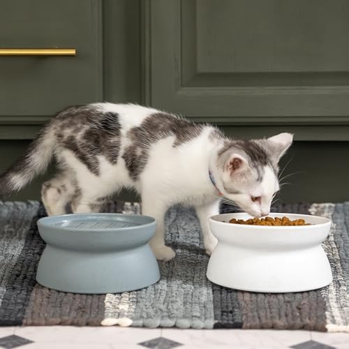Kitty City Elevated Slow Feeder Cat Bowls (Set of 2), Whisker-Friendly Raised Cat Food Dishes with Ridges, Helps Reduce Fast Eating & Digestion Issues, Dishwasher Safe, 10.8 oz – White & Gray - Image 2