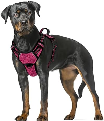 BARKBAY Dog Harness for Large Dogs No Pull Dog Vest ID Tag Pocket by BARKBAY