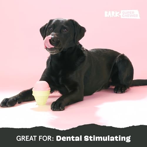 BarkBox I-Squeak Cone Dog Toy for Large Dogs, Perfect for Treat Spreading with a Wacky Bounce for Endless Playtime - Image 5