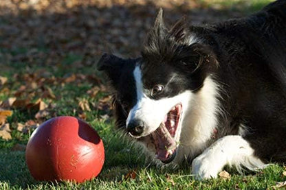 Jolly Pets Push-n-Play Ball Dog Toy, 6 Inches/Medium, Red (306 RD) - Image 2